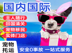 大兴空运国际宠物托运 【国